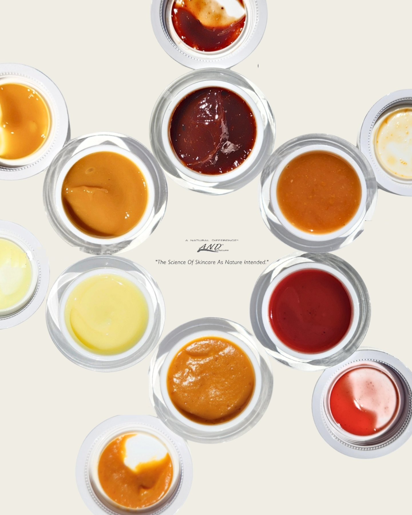 544941179_1342936377838011_3202815040537798309_n 544941179 1342936377838011 3202815040537798309 N